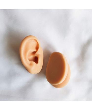 Soft Silicone Ear Model Artificial Human Ear for Acupuncture Ohr Picking Practice Practice Medical Teaching Display Props Left Right 1 Pair - Buy Online on SooperMarket.com