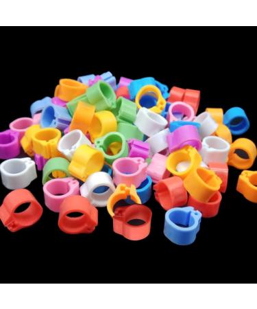Givats Pigeon Footrings for Parrots - 300 Pieces Quail & Poultry Bands | Multi-Color 8mm Clip Leg Rings for Chickens & Pigeons - Buy Online on SooperMarket.com