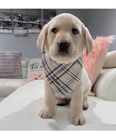 Lionet Paws Dog Bandana | Triangular Headscarf for Small Medium & Large Dogs - Grey (Pack of 1) | International Shipping Available - Buy Online on SooperMarket.com