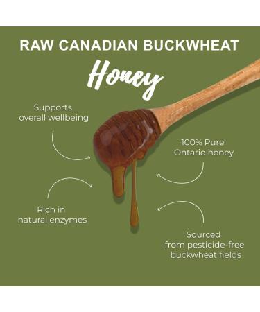 ONEROOT Canadian Raw Buckwheat Honey | Higher in Antioxidants Than Manuka (1 kg) 1 kg (Pack of 1) - Buy Online on SooperMarket.com