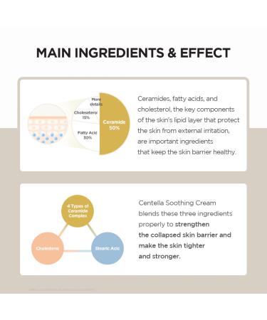 SKIN1004 Madagascar Centella Soothing Cream 2.53 fl.oz - 75ml | Quadruple Ceramide Complex for Stronger Skin Barrier and Smoother Skin - Buy Online on SooperMarket.com