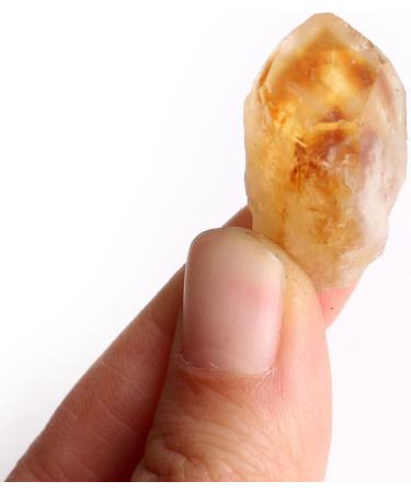 Natural Crystal Rough Natural Mini Amethyst and Citrine Crystal Cluster Point Specimen Home Decoration Collection DIY Gift (Color : Citrine Stick Size : 30g) 30g Citrine Stick - Buy Online on SooperMarket.com
