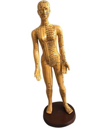 Education Model Toy Model Anatomy Professional Medical Acupuncture Female 48cm 19" - Buy Online on SooperMarket.com