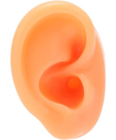 Acupuncture Ear Model - Multi-Purpose Soft & Reusable Fake Ear for Practical Training (Right) - Buy Online on SooperMarket.com