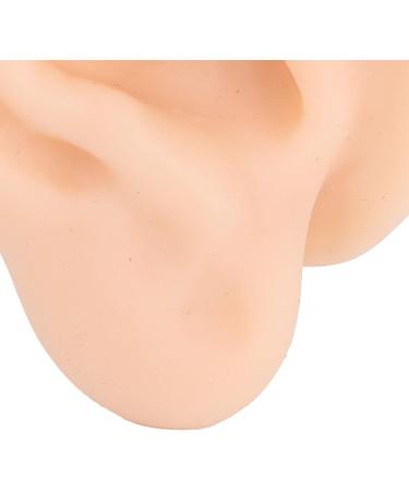 Silicone Ear Model for Acupuncture Practice | Realistic Fake Ear with Presentation Stand - International Shipping Available - Buy Online on SooperMarket.com