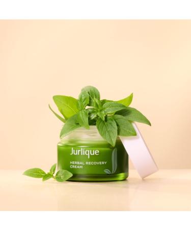 Jurlique Herbal Recovery Cream 50 ML | Hydrating Anti-Aging Skincare | International Shipping Available - Buy Online on SooperMarket.com