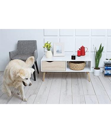 Petcube 2017: Smart Pet Camera with Interactive Laser Toy | HD Video, Two-Way Audio, Night Vision | App-Enabled Monitoring for Dog/Cat Safety - Buy Online on SooperMarket.com