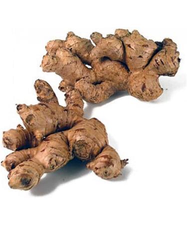 Natural Ginger Rings Dried Cut Herbal Tea Remedy Herb Alkaline Whole Root Non Chinese - Buy Online on SooperMarket.com