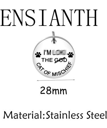 ENSIANTH Pet Collar Tags Cat of Mischief Gift Cat ID Tags Cat Owner Gift Pet ID Tags Cat Lady Gift (Cat of Mischief) - Buy Online on SooperMarket.com