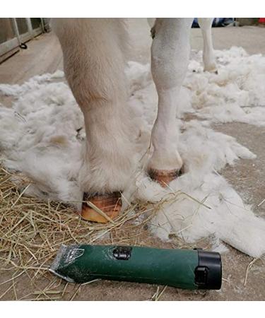 Cordless MD Roamer Cob Kit Horse Clipper/Trimmer with 10F and 7 Skip Blades - for Feathers and Hogging Manes - Buy Online on SooperMarket.com