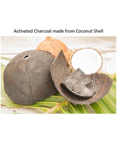 Nature's Beauty Activated Charcoal Facial Cleanser - Detoxifying Citrus Scent - 6 fl oz - Made in USA - Buy Online on SooperMarket.com