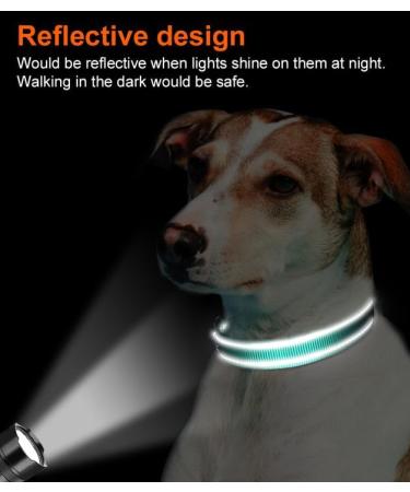 Joytale Reflective Dog Collar for Medium Dogs Turquoise M Pack of 1 | Durable & Stylish - Buy Online on SooperMarket.com