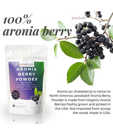 Powbab Aronia Berry Powder - 100% USA Grown Organic Chokeberry, Immune Support, Circulation & Anti-Inflammatory Boost - 3.5 Oz - Buy Online on SooperMarket.com