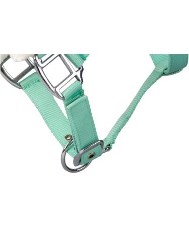 Shop RL24 Halter with Plush Padding - BASICLINE in 6 Colors for Shetland Pony Thoroughbred & Warmblood | Light Green Warmblood Edition - Buy Online on SooperMarket.com