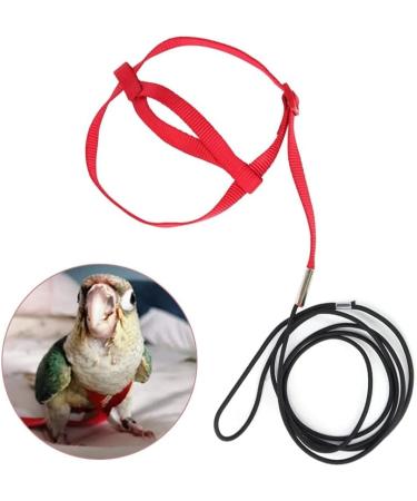 Buy Portable 8-Shape Parrot Flight Dishes - Adjustable Bird Bowls for Small & Medium Parrots | Perfect for Lovebirds & Cockatiels - International Shipping Available - Buy Online on SooperMarket.com