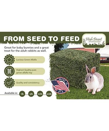 Dried Natural Alfalfa Hay for Rabbits, Guinea Pigs, Chinchillas & Ferrets - Protein and Fiber-Rich Food - 5 lb Pack - Healthy Pet Food - Buy Online on SooperMarket.com