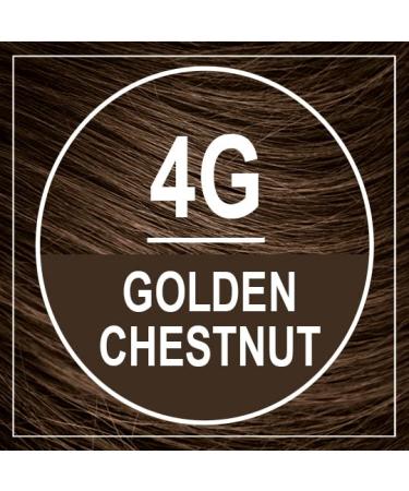 NATURTINT 4G Golden Chestnut Hair Color | Organic & Gentle Formula - 5.75 oz | Shop Internationally - Buy Online on SooperMarket.com