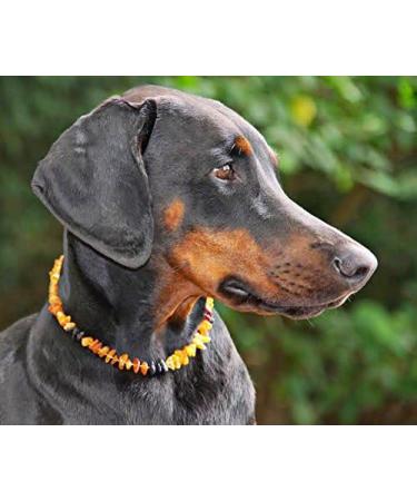 100% Baltic Amber Dog Necklace & Collar | Natural Tick Protection for Cats & Dogs | Authentic Lithuanian Amber - Buy Online on SooperMarket.com