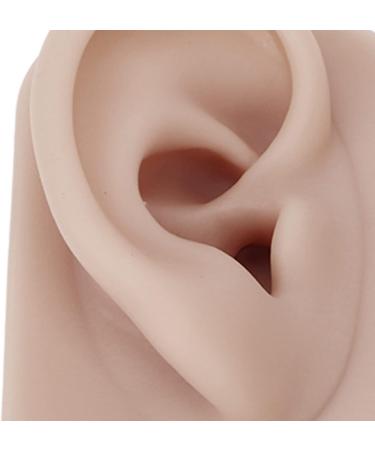 Silicone Ear Model Left and Right Soft Flexible Model Fake Ear Piercing Practice Human Ear Model Silicone Ear for Jewelry Display Acupuncture Teaching (#3) - Buy Online on SooperMarket.com
