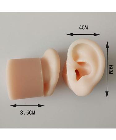 Soft Silicone Human Ear Simulation Model Learning Accessory for Ear Extraction of The Hearing Conduit Suitable for Visual Extraction Practice - Buy Online on SooperMarket.com
