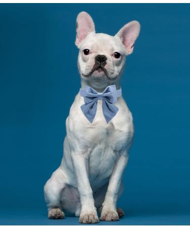 Lionet Paws Dog Collar Fly - Comfortable Silk Collar with Removable Fly for Small Dogs (25-40cm) - Blue - Buy Online on SooperMarket.com