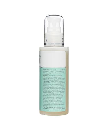 NutriBiotic Foaming Facial Cleanser - Aloe GSE DMAE Vitamin C | Vegan Paraben-Free 4.2 Fl Oz | Ideal for Daily Use - Shop Internationally - Buy Online on SooperMarket.com