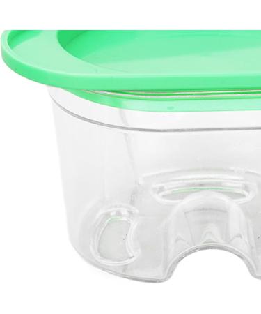 Herchr Prosthesis Case | Plastic Storage Box for False Teeth & Agar Replication Models | International Shipping - Buy Online on SooperMarket.com