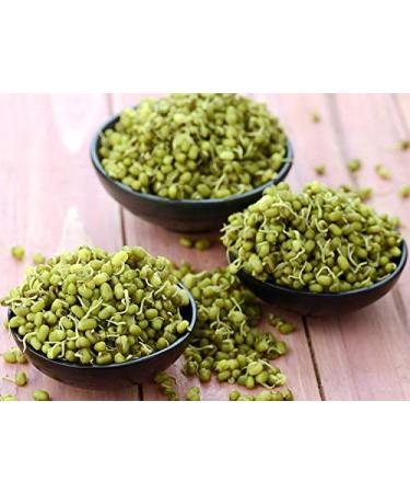 Jiva Organics Organic Mung Beans Whole 2 LB Bag - Green Moong Bean - Perfect for Cooking & Sprouting 2 Pound (Pack of 1) - Buy Online on SooperMarket.com