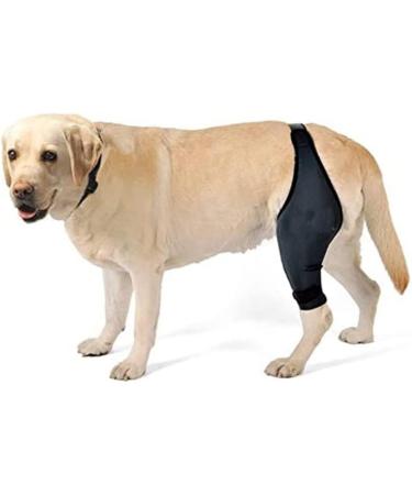 BELLIFFY Dog Foreleg Brace Puppy Knee Braces Dog Acl Brace Hind Leg Paws Pet Mesh Fabric Large Dog Elbow Pads S As Shown - Buy Online on SooperMarket.com