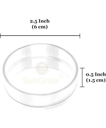 Heavy-Duty Tough Borosilicate Glass Shrimp Feed Dish - Prevent Spills, Never Run Out of Food for Shrimps - Ideal for Tubifex Worms and Fish Food - Buy Online on SooperMarket.com