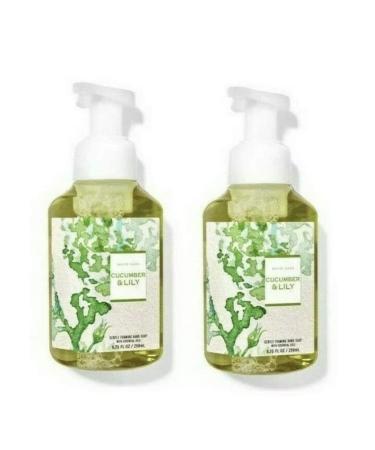 Bath & Body Works Gentle Foaming Hand Soap in Cucumber Lily (2 Pack) Cucumber Lily 8.75 Fl Oz (Pack of 2)