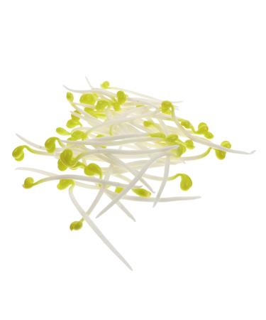 Alipis 100 Pcs Bean Sprouts Toy Small Plant Lifelike Bean Sprout Decoration for Home Faux Plants Delicate Bean Sprout Food Decor Wedding Decor Fruit Toys Pvc Artificial Household Products