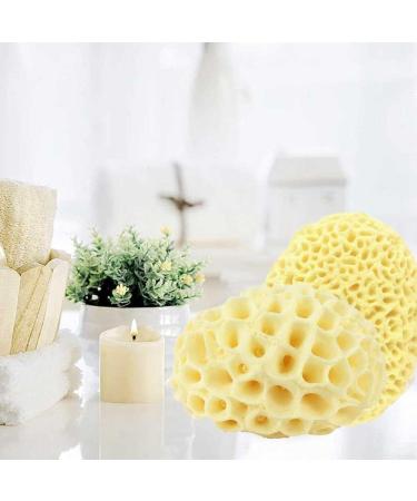 PLGEBR Natural Sea Wool Sponge - Exfoliating Dead Skin Remover for Body Shower Pouf - Buy Online on SooperMarket.com