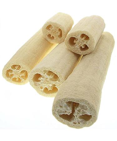 Buy Kosmetex Luffa Cucumber Sponge - Natural Fiber Bath & Shower Sponge 34 cm | Eco-Friendly Exfoliating Body Cleanser - International Shipping Available - Buy Online on SooperMarket.com