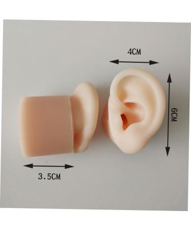 Silicone Ear Models for Practice - 1 Pair Ear Picking & Display Samples - Buy Online on SooperMarket.com