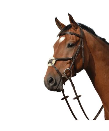 Collegiate Syntovia+ Padded Raised Grackle Bridle Brown Full