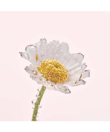 Yves Rocher PURE CALENDULA Regenerating Day & Night Cream Moisturizer 50ml Hydrate & Revitalize Your Skin | International Shipping Available - Buy Online on SooperMarket.com