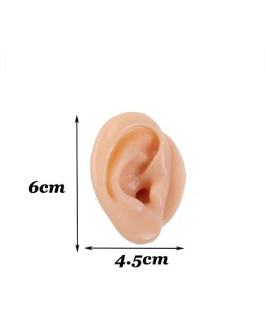 Ear Model A Pair - Professional Simulated Ear Template Imitation Soft Soft Silicone Soft Ear Display Products Actual Ear Mold Sample - Buy Online on SooperMarket.com