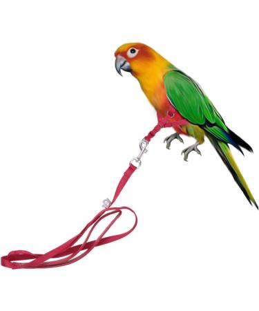 Balacoo Flight Harness for Cockatiels Parrot Harness Training Parrot Bird Harness Parakeet Cinch Belt Birdemic Parrot Accessories Birds Leash Bird Collars Small Parrot Strap Red - Buy Online on SooperMarket.com