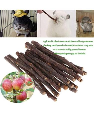 ACLUYSKA 21PCS Hamster Guinea Pig Toys | Small Animal Activity Chew Accessories | Apple Wood Ladder Bell Roller | Teeth Care for Dwarf Hamsters, Rats, Chinchillas, Gerbils, Bunnies - Buy Online on SooperMarket.com