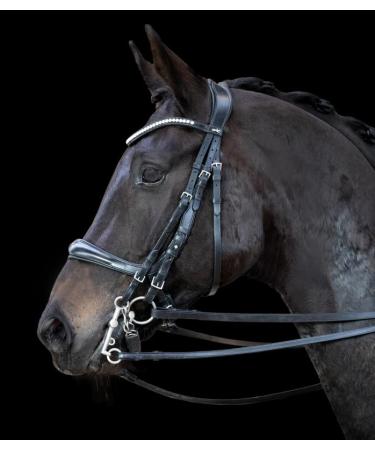 Schockem hle Sports Double Bridle Double Bridle EQUITUS Gamma VB Black