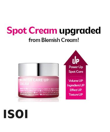 Buy Is i Blemish Care Up Cream 55ml (1.86 fl oz) - Best Blemish Treatment | International Shipping Available - Buy Online on SooperMarket.com
