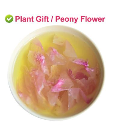 100% Natural Herbacous Peony Tea - Anti-Aging & Freckles Removal | Pink Peony Bud Flower Tea 30g - Buy Online on SooperMarket.com