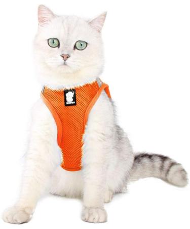 Buy Cat Dishes & Harness Set | Outdoor Leash & Bowls for Cats & Dogs - International Shipping - Buy Online on SooperMarket.com