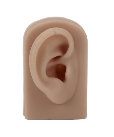 Reusable Human Ear Model - Right Ear for Piercing Training & Display (Brown) - Buy Online on SooperMarket.com