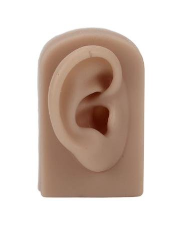 Silicone Ear Model Soft Flexible Right Ear Reusable Human Ear Model for Ear Piercing Training and Earrings Display(Brown)