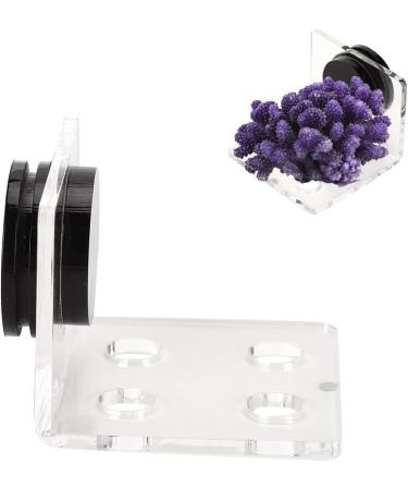 Buy Cikonielf Magnetic Coral Frag Rack - 4 Hole Transparent Acrylic Aquarium Coral Holder for International Shipping - Buy Online on SooperMarket.com