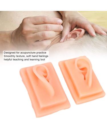 Ear Model Silicone Ear Model Acupuncture Practice Human Soft Teaching Left Right Ear Model - Buy Online on SooperMarket.com