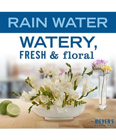 Mrs. Meyer's Rain Water Hand Soap - 12.5 fl. oz, Pack of 6 | Biodegradable Formula with Essential Oils - Buy Online on SooperMarket.com