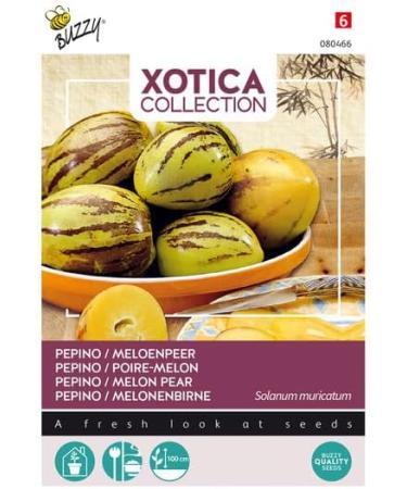 Buzzy Xotica Pepino Melon Pear - Seeds Content: Approx. 15 Seeds - Buy Online on SooperMarket.com